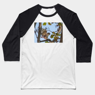 Red Tailed Hawk alighting in tree Baseball T-Shirt